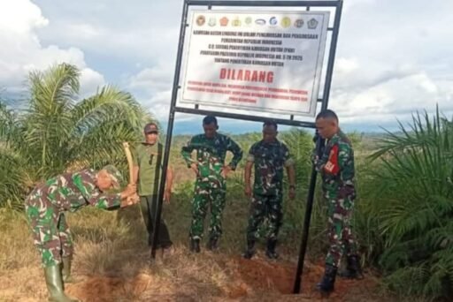 Mukomuko khawatir Penyebaran Pemalakan Hutan,Hubungan dari Bencana Sumatera timbul Spekulasi Besar