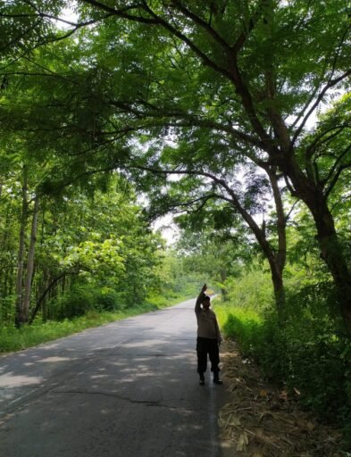 Polsek Ngimbang Gelar Patroli Guna Antisipasi Pohon Tumbang Di Jalur Rawan Bencana