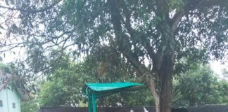 Perubahan CPCL tanpa verifikasi bantuan alsintan Upland disorot