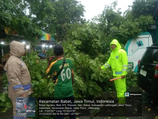 Quick Respon Polsek Babat Evakuasi Pohon Tumbang di Simpang 3 Mira dan Pasar Agrobis