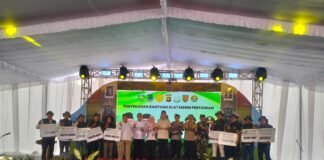 Ratusan Alsintan Diserahkan ke Kelompok Tani, Pemkab PALI Dorong Produktivitas Pertanian