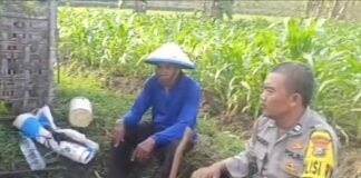 Kapoksek Ngimbang Gelar Monitoring Program P2B Ketersediaan Pupuk Di Desa Sendangrejo