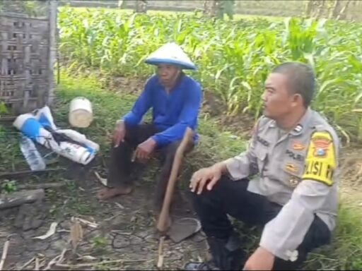 Kapoksek Ngimbang Gelar Monitoring Program P2B Ketersediaan Pupuk Di Desa Sendangrejo