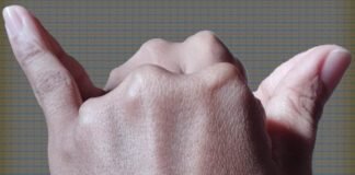 Bupati Frederick Viktor Palimbong Meresmikan Penggunaan Simbol Toraja Utara