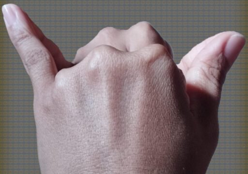 Bupati Frederick Viktor Palimbong Meresmikan Penggunaan Simbol Toraja Utara