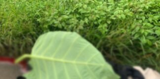 Warga Desa Duku Ulu Ditemukan Tak bernyawa dipinggir Jalan.