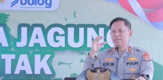 Panen Raya Jagung Serentak 2026, Kapolda NTB Ajak Petani Jaga Ketahanan Pangan