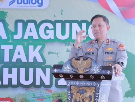 Panen Raya Jagung Serentak 2026, Kapolda NTB Ajak Petani Jaga Ketahanan Pangan