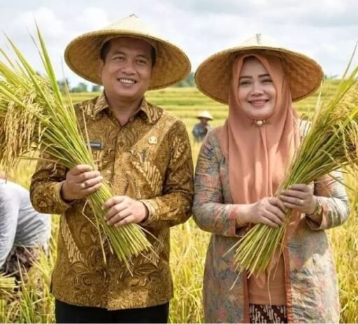 NTB Optimis Perkuat Swasembada Pangan 2026, Produksi Padi 2025 Naik 16,85 Persen