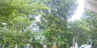 Ribuan Warga Subang Sambut Antusias Kehadiran Raffi Ahmad dan Nagita Slavina di Alun-Alun Subang