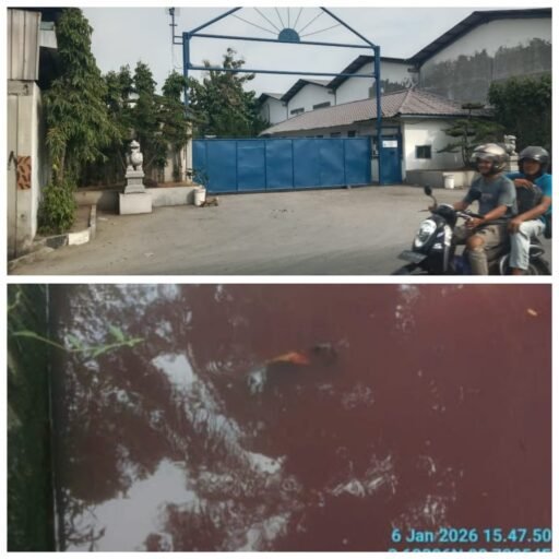 Diduga Membuang Limbah Sembarangan, Warga Tanjung Selamat Jadi Korban PT CML