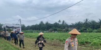 Polres Binjai Panen Raya Jagung Serentak Kuartal IV