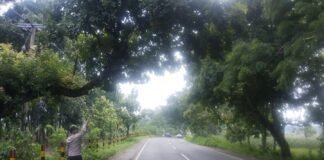 Polsek Ngimbang Gelar Patroli Guna Antisipasi Pohon Tumbang Di Jalur Rawan Bencana