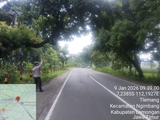 Polsek Ngimbang Gelar Patroli Guna Antisipasi Pohon Tumbang Di Jalur Rawan Bencana