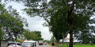 Guna Antisipasi Pohon Tumbang, Polsek Ngimbang Gelar Patroli Di Jalur Rawan Bencana