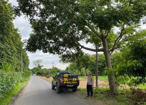 Personil Polsek Ngimbang Gelar Patroli Guna Antisipasi Pohon Tumbang Di Jalur Rawan Bencana