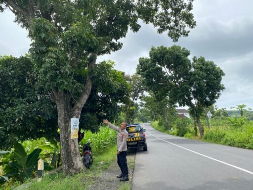 Personil Polsek Ngimbang Gelar Patroli Guna Antisipasi Pohon Tumbang Di Jalur Rawan Bencana