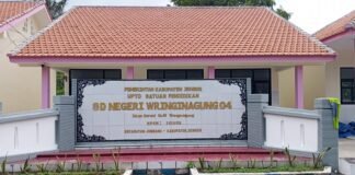 Revitalisai SDN Wringin Agung 04 Jember Munculkan Harapan Baru Bagi KS Beserta Dewan Guru