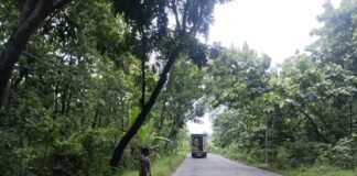 Personil Polsek Ngimbang Gelar Patroli Guna Antisipasi Pohon Tumbang Di Jalur Rawan Bencana