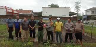 Kapolsek Blanakan Pimpin Penanaman Jagung Serentak di Subang, Dukung Ketahanan Pangan