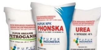 Keputusan Menteti Pertanian, Tentang Subsidi Pupuk Di Lamongan Masih Belum Sepenuhnya Terealisasi