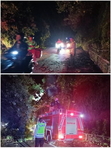 Quick Respons Polsek Ngimbang Evakuasi Pohon Tumbang Di Jalan Babat – Jombang