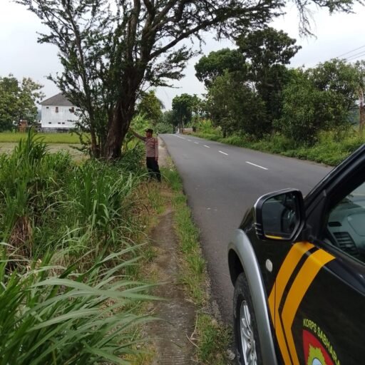 Personil Polsek Ngimbang Gelar Patroli Guna Antisipasi Pohon Tumbang Di Jalur Rawan Bencana