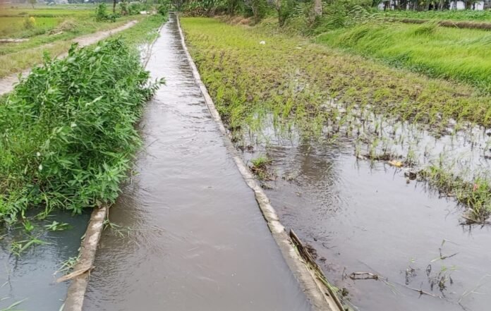 Ket Foto : Saluran irigasi setelah pengerjaan proyek.