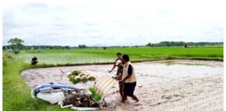 Brigade Pangan Dorong Stabilitas Produksi Pangan, Petani Rembang Kini Makin Siap di MT 2 dan MT 3