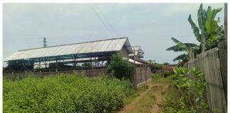 Warga Sumberjo Rembang Tuntut Penutupan Kandang Ayam Ilegal Karena Bau Menyengat