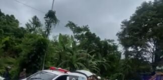 Kecelakaan di Tanjakan Mengker: Excavator Lepas Muatan, Beberapa Kendaraan Tertabrak