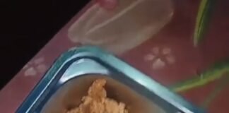 VIRAL! Video MBG Diduga Bermasalah di SD Tamansiswa, Kepala BGN Tak Tolerir Kelalaian