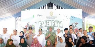 Produksi Padi Banten Naik 16,84 Persen, Andra Soni Sebut Berkat Kebijakan Presiden Prabowo