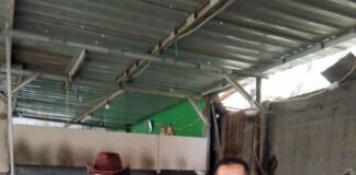 Dari Khatmandu ke Tanah Air: Prestasi Ricky Atonasio Soares di Tinju Asia Junior V 1985