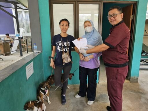 14 Tahun Berturut-turut, Banten Pertahankan Status Zero Case Rabies