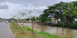 Peringati Hari Lingkungan Hidup 2026, Pemprov Banten Tanam 5.000 Pohon di Tangerang