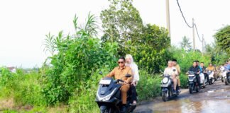 Gubernur Banten Tinjau Pembangunan Rumah Korban Bencana di Desa Palasari, Legok