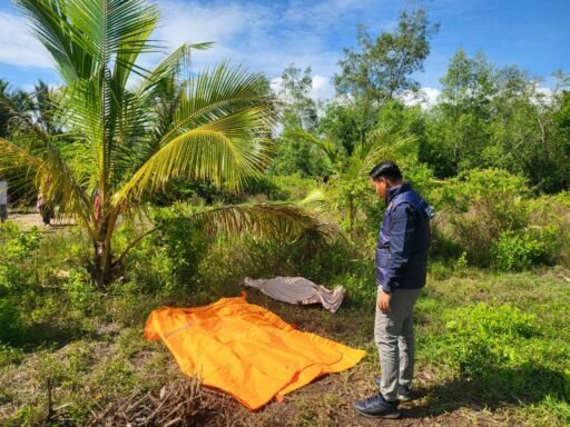 Warga digegerkan Ditemukan jasad Seorang pria paruh baya Diarea semak-semak kini sudah Dievakuasi Polsek TT.