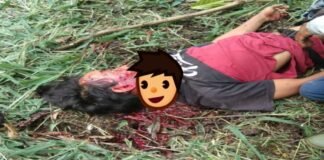 Seorang pemuda ditemukan dalam kondisi tak bernyawa di kebun miliknya