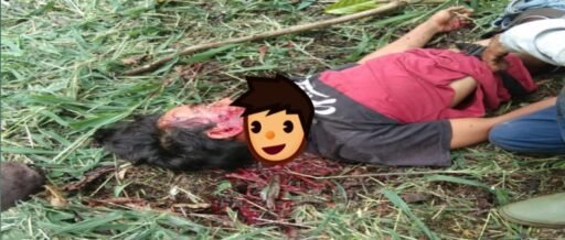 Seorang pemuda ditemukan dalam kondisi tak bernyawa di kebun miliknya