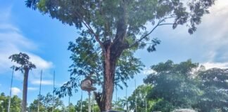 Pemprov NTB Salurkan Bantuan bagi Korban Banjir Lombok Timur