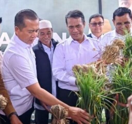 Mentan Tetapkan NTB Sentra Bawang Putih, Gubernur Komitmen NTB Pilar KETAPANGNAS