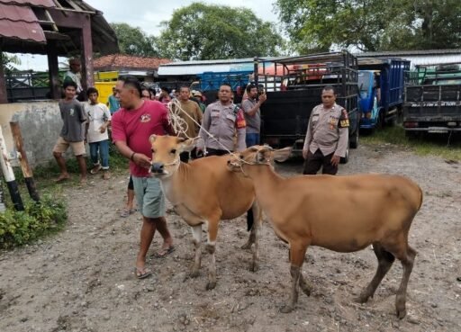 Sapi Warga Hilang di Kebun Gunungsari, Polisi Temukan di Pasar Hewan Selagalas