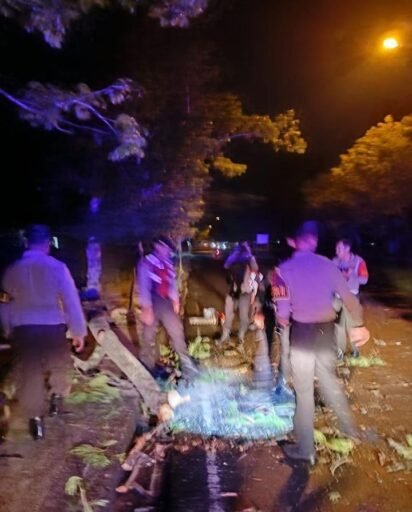 Cuaca ekstrem, hujan deras angin kencang Tumbangkan Pepohonan di Cakranegara, Aduan 110 Respon Cepat