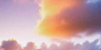 Forkab Aceh Barat Tegaskan Legalitas Kepengurusan, Perusahaan Diminta Waspadai Oknum Mengatasnamakan Forkab