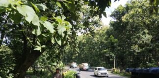 Personil Polsek Ngimbang Gelar Patroli Guna Antisipasi Pohon Tumbang Di Jalur Rawan Bencana