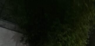 Aksi Tawuran Digagalkan Tim Serigala Polres Bekasi Kota, Sajam Disita