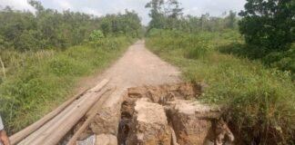 Akses Sentral ke Kebun Karet Rusak, Warga Betung Barat Minta Perbaikan Segera