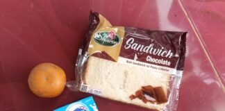 Wali murid penrima didesaGunung terang kcamtn airhitam LamBar Keluhkn Menu MBG Tak sesuai stndr pemenuhn gizi