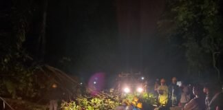 Hujan Angin Lumpuhkan Jalur Nasional Liwa–Krui, Rumah Warga Rusak Berat dan Listrik Pesisir Barat Padam Total